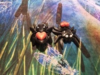 Heart Spider 1